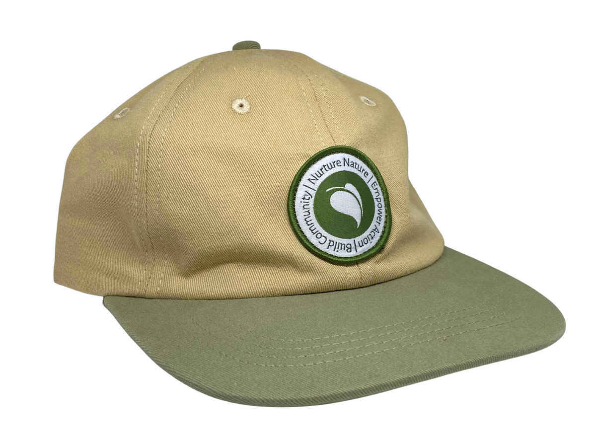 House Of Quirk Solid Sports/Regular Cap Cap